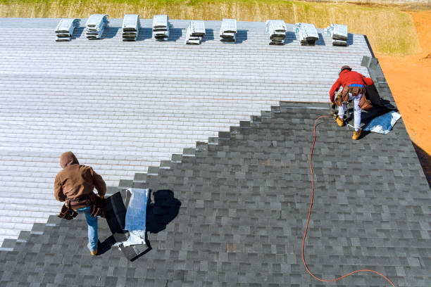 Best Shingle Roofing Installation  in Sand Point, AK