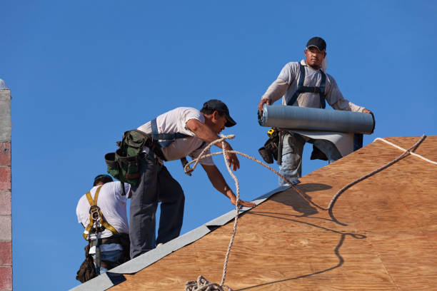 Best Metal Roofing Contractor  in Sand Point, AK