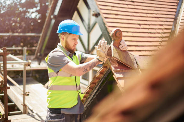 Best Roof Inspection Near Me  in Sand Point, AK